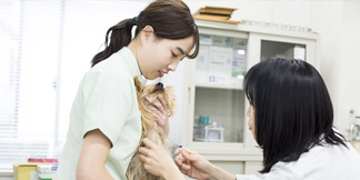 愛玩動物看護師としての実践力を身につける