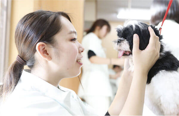 愛玩動物看護学科（旧 応用生物科学科動物看護コース）